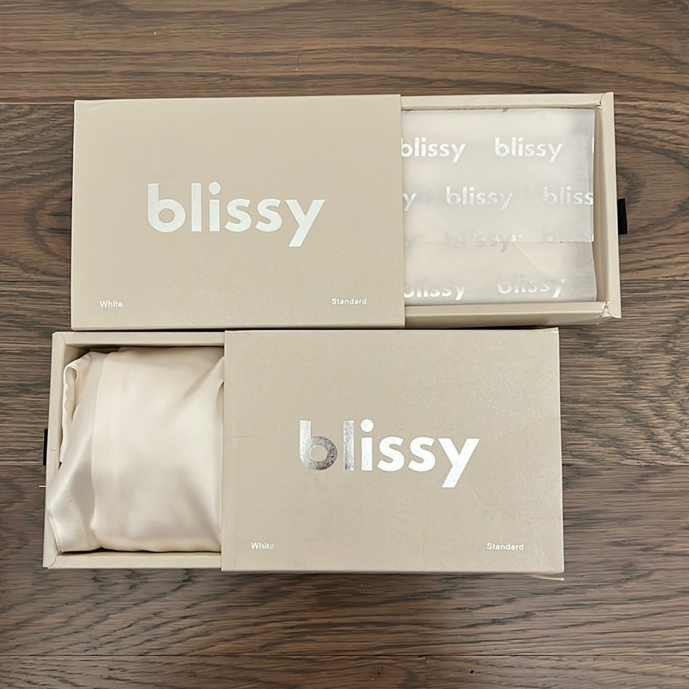 Set of 2 BLISSY 100% silk pillow cases NEW